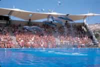 Aqualand Dolfin Show